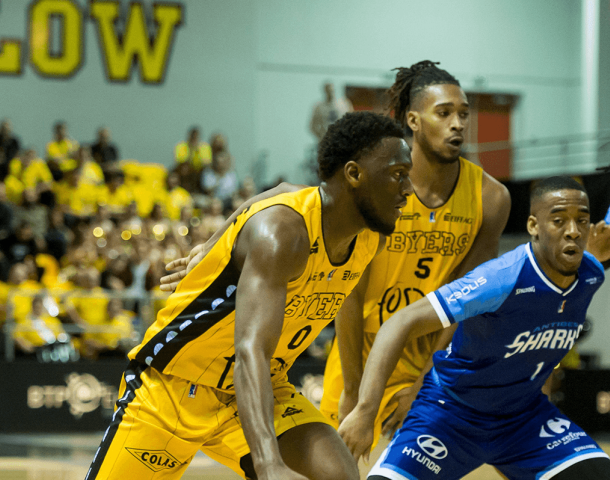 FOS-BASKET-BYERS-Sharks